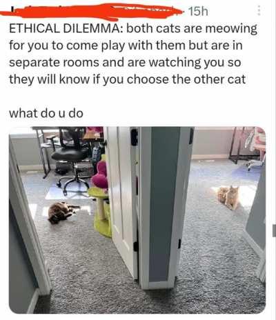 ethical dilemma