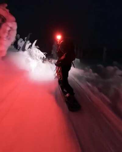 Night boarding with 6 huskies