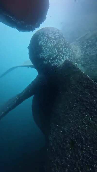 Removing barnacles off of a giant ship
