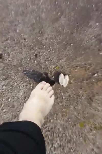 What i just watched ?