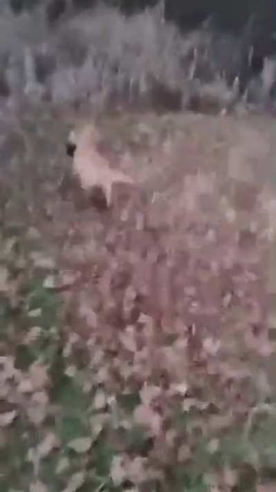 This is what happens when I hand my hunting videos to my daughter. 😅