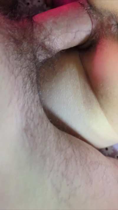 Putting Cerby to work while I cuddle up next to Kasumi. ;p [oc]