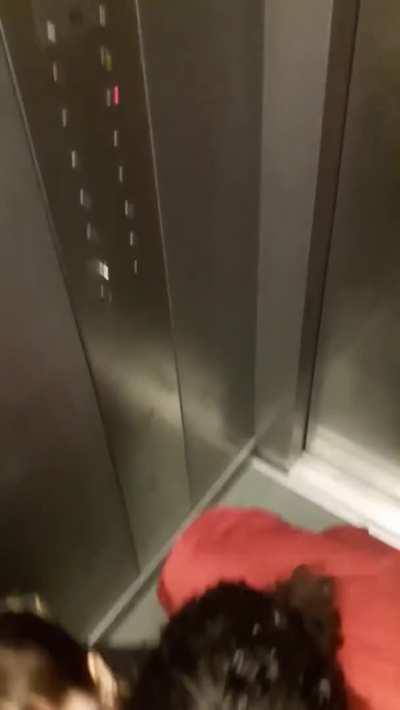 3 sluts in an elevator