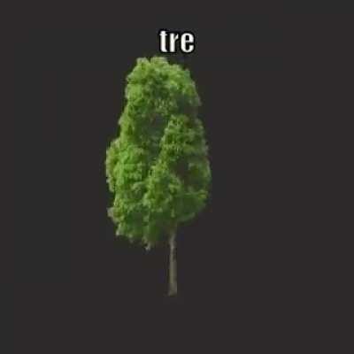 tre