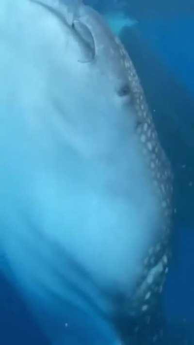 Can't handle the heat? Stay out of his kitchen.