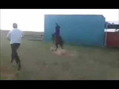 mis memes son una poronga