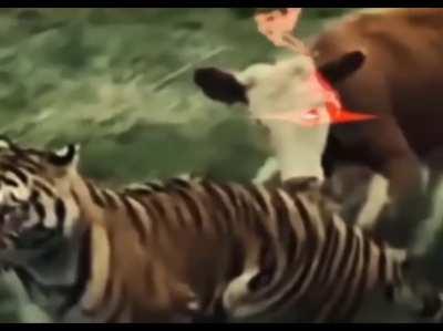 Se desarrollo de golpe