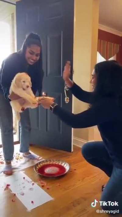 Indian Family brings home a pupper with all the rituals.
