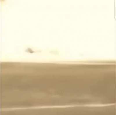 Lil critters are in my head