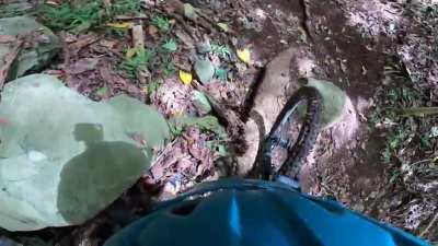 Wee Bit O' Jungle Lovin'. I know Huge Sends Sell, But This is Why I Ride.