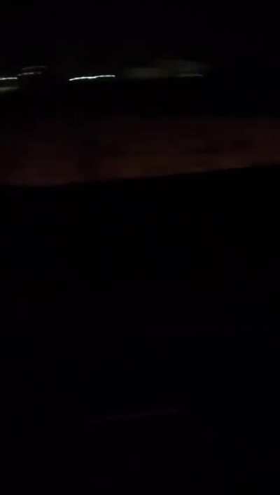 Can dostlarımız için kapınızın önüne bir kap mama ve su bırakmayı unutmayın (küfürlü)