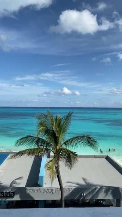 I never get tired of the view 🌴 ☀️ 🌊