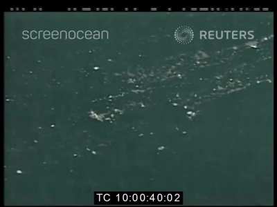 【Aftermath Footage】2003 Colgan Air Flight 9446 Crash