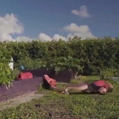 The classic trap in real life