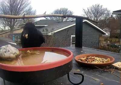 Nothing beats soup on a cold day.
