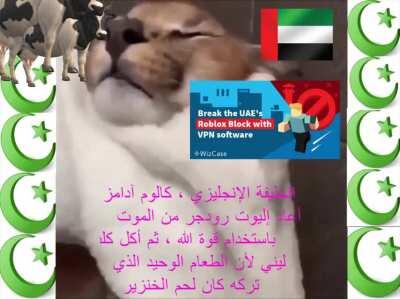 i tried to post this in arabfunny but reddit is dumb and think this is an image even though it's clearly a fucking video, since images are not allowed in arabfunny it won't let me press post there