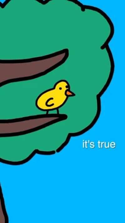 Don’t let them trick you!!!