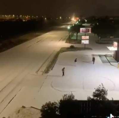 A Work Of Art In The Show