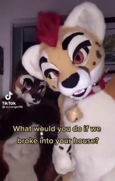 self defence is legal in my country