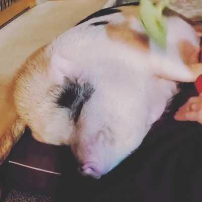 A little to the left human.