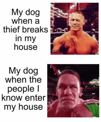 He's a lil confused but he got the spirit ;)