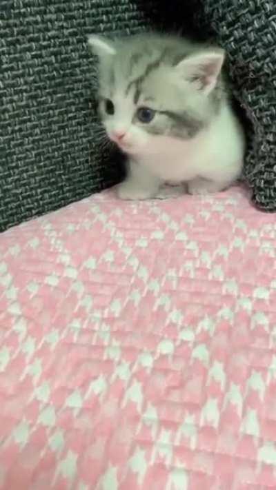 Hep me Hep me I tuck