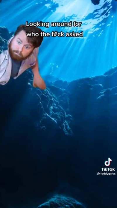 Most celebrity news tbh (credit to TeddyGales on tiktok)