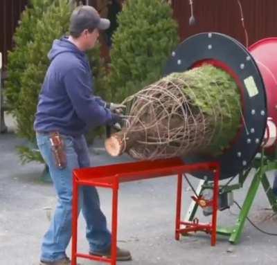 Wrapping a christmas tree