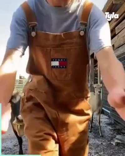 Эмануэль говнюк