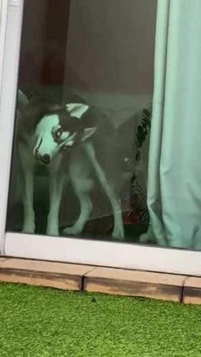 I think we broke her