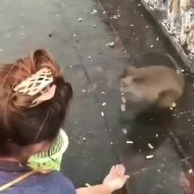 acreboy é corno fds