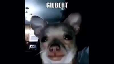 Damn that’s a cute cat girl