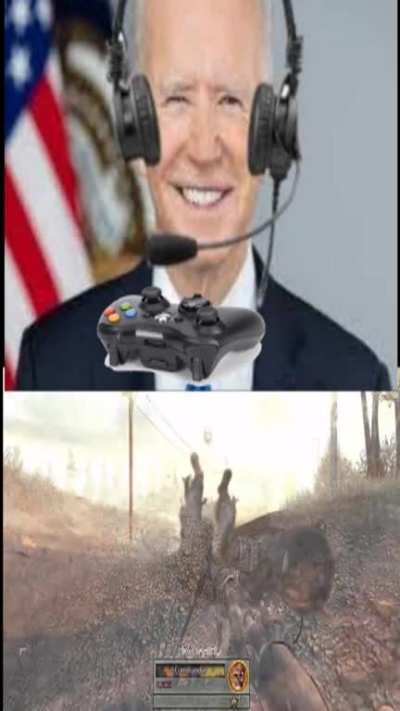 Biden gaming