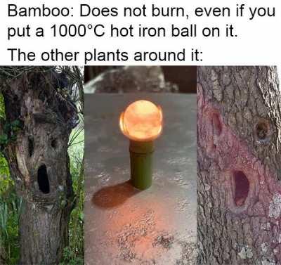 🔥 That's the hottest shit I've seen today 🔥