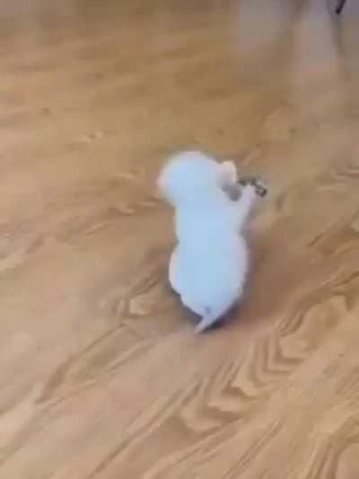 Illegally Small catposting 😺