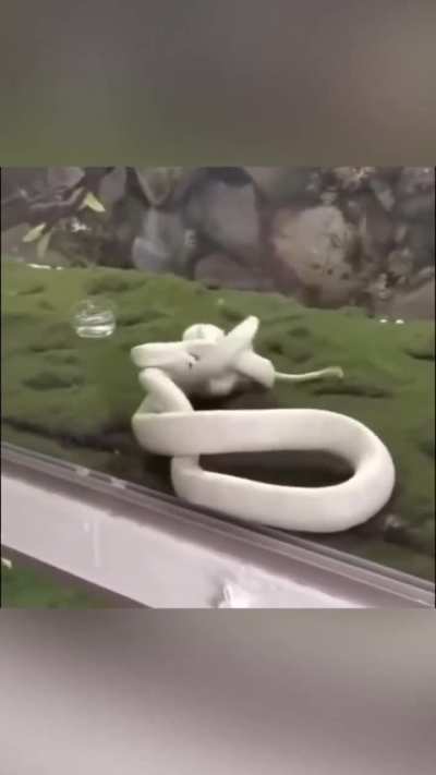 Unexpected, Bro had one job and still fumbled.