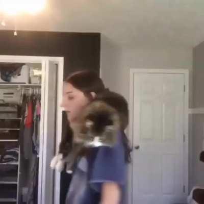 Cats are having a blast with the quarantine