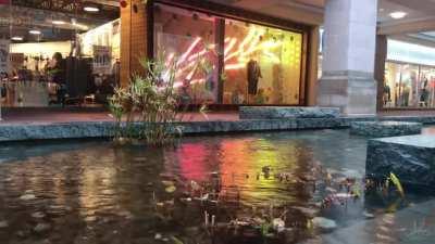 Rainy day at the mall