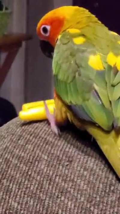 I just want to draw but he keeps taking my markers and throwing them off the couch