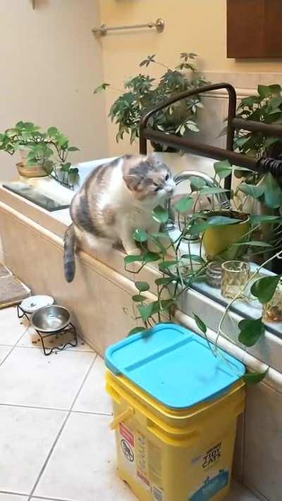 We told her to stop eating the plants so now she just pretends.