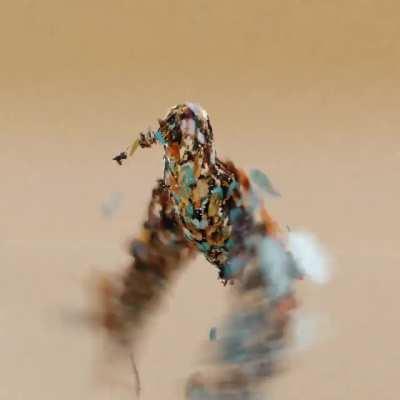 “Lightness of being“ - my new animated NFT