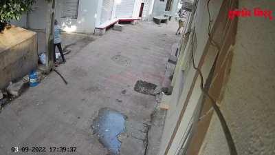 Why bother an animal who's just chilling?