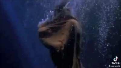 Did Pussy even really exisht?