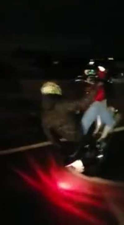 Limited brain power combined with darkness and a public highway.