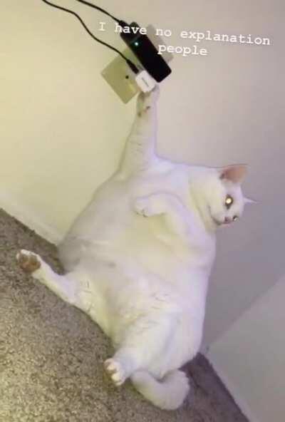 She literally stopped working and is charging