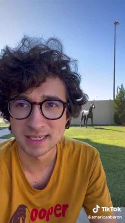 Going for a walk in America