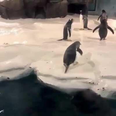 Yes yes you can make it