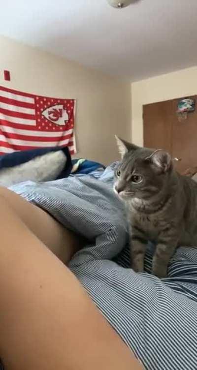 The only toxic relationship that is acceptable