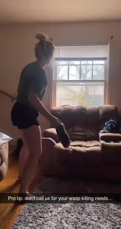 Maybe the bug knows a good window repairman?