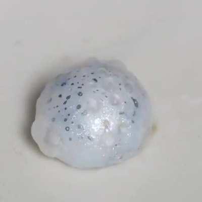 Таймлапс реакции чистого натрия с кислородом